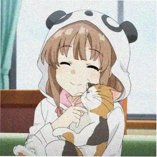 番茄影视读者头像五